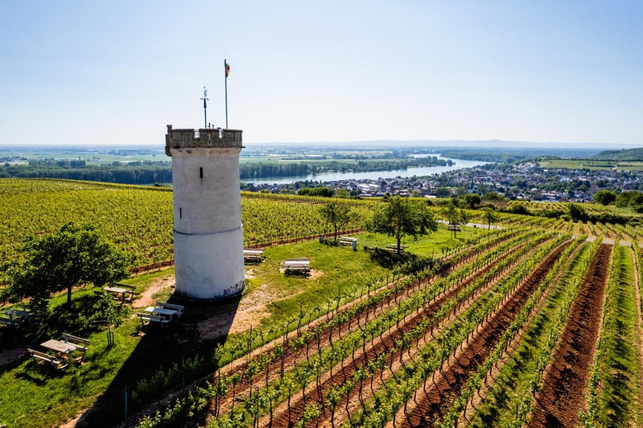 Best Western Wein- Und Parkhotel Nierstein Zewnętrze zdjęcie