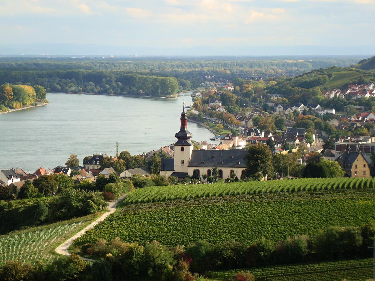Best Western Wein- Und Parkhotel Nierstein Zewnętrze zdjęcie